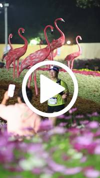 BIB:  <button type="button" onclick="openModal(27591016)" class="btn btn-primary btn-sm float-right" data-toggle="modal" data-target=".modal-high-quality">
                <i class="fa fa-download"></i> Download
                </button>